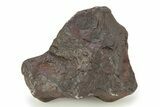 Canyon Diablo Iron Meteorite ( g) - Arizona #246908-1